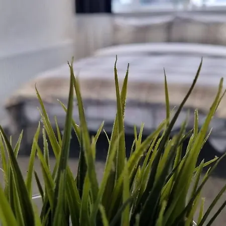 Apartment Your Away From Home!-comfy-cosy Leeds (West Yorkshire)