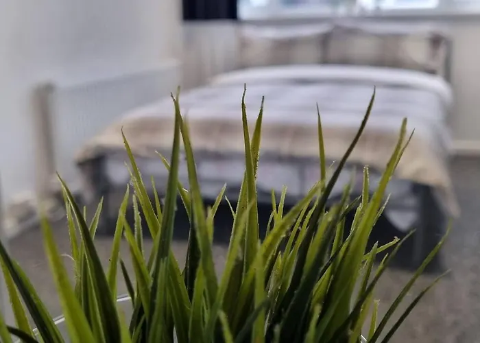 Apartment Your Away From Home!-comfy-cosy Leeds (West Yorkshire)