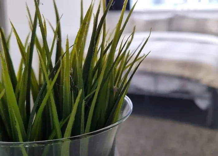 Your Away From Home!-comfy-cosy Apartment *